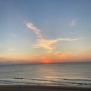 Meet your Posher, Riley